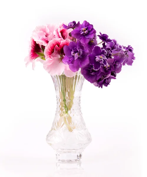 Violet and geranium flowers — Stock Photo, Image