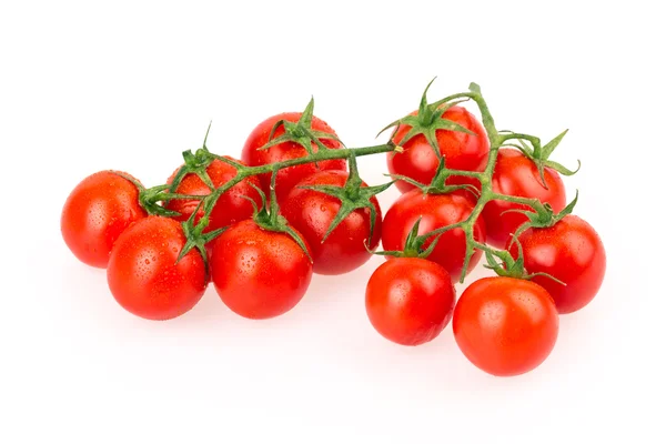 Tomaten — Stockfoto