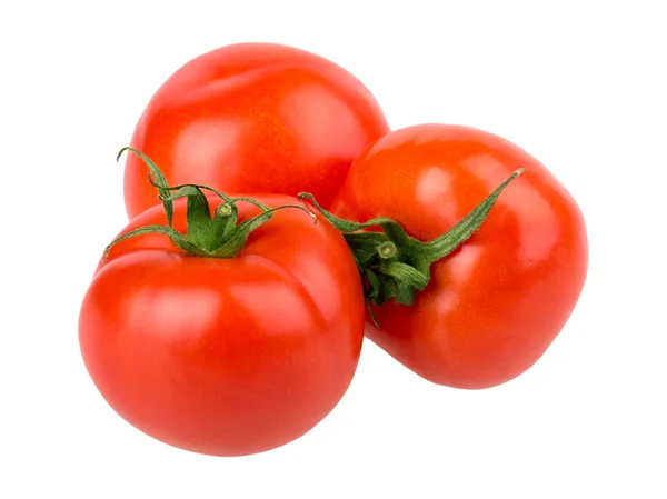 Tomaten — Stockfoto