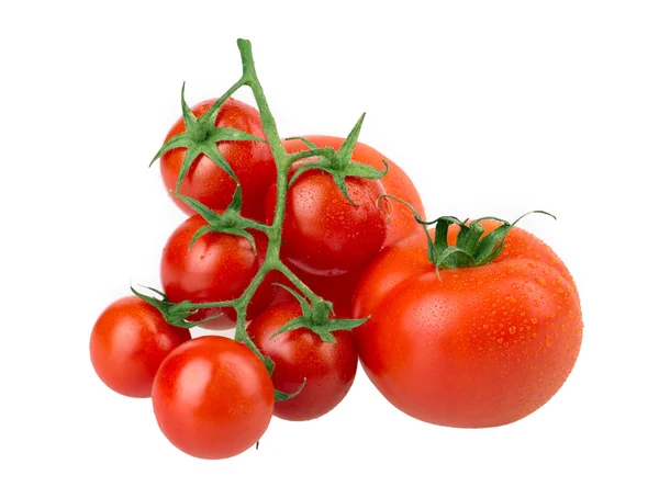 Tomate — Foto de Stock