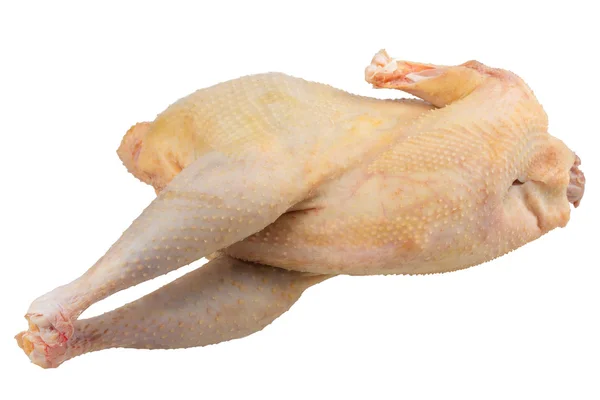 Carcassa di pollo — Foto Stock