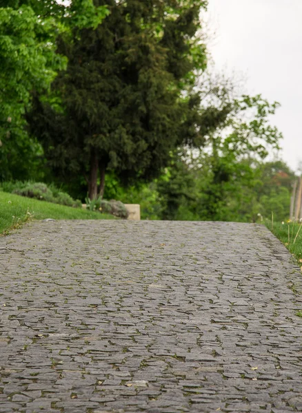 Uzağa giden yol, parka. — Stok fotoğraf