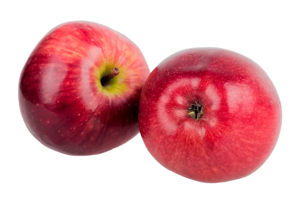 Two red apple — Stock Photo, Image