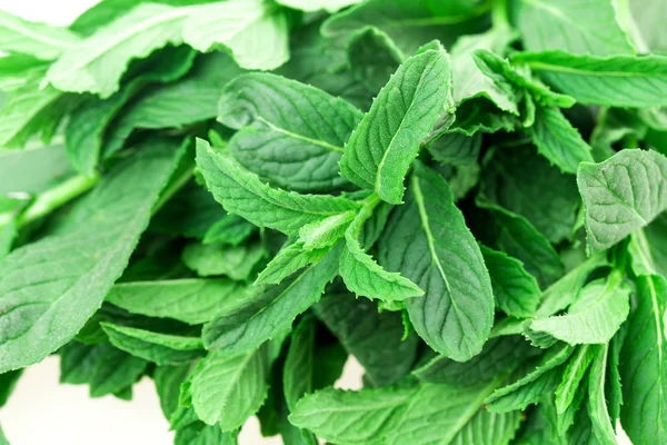 Mint, lemon balm — Stock Photo, Image