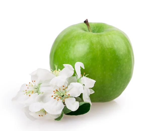 Flor de maçã e maçã — Fotografia de Stock