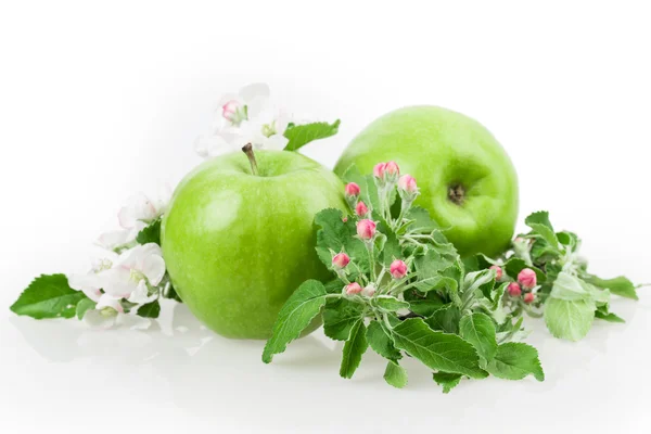 Æble og æble blomstre - Stock-foto