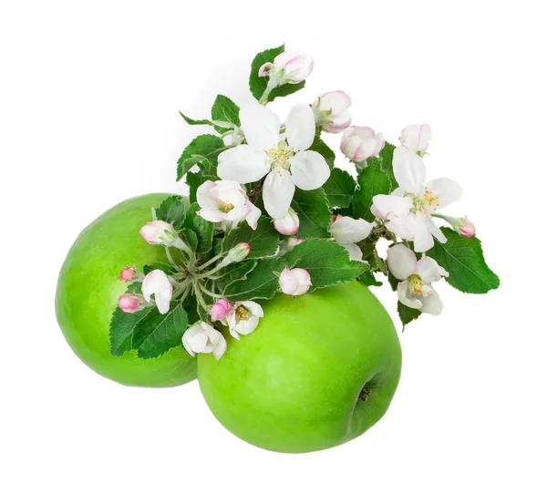 Flor de maçã e maçã — Fotografia de Stock