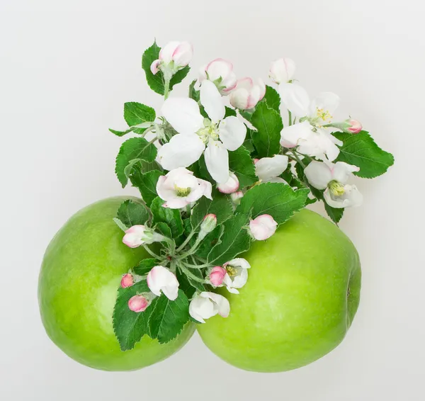 Apple i apple blossom — Zdjęcie stockowe