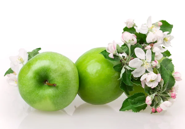 Æble og æble blomstre - Stock-foto