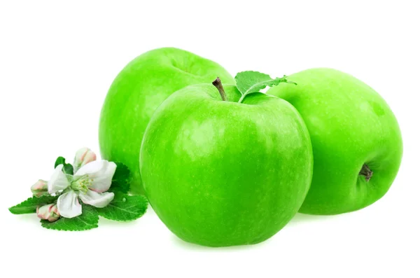 Apfel- und Apfelblüte — Stockfoto