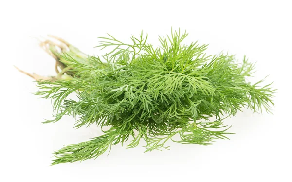 Dill — Stock Photo, Image