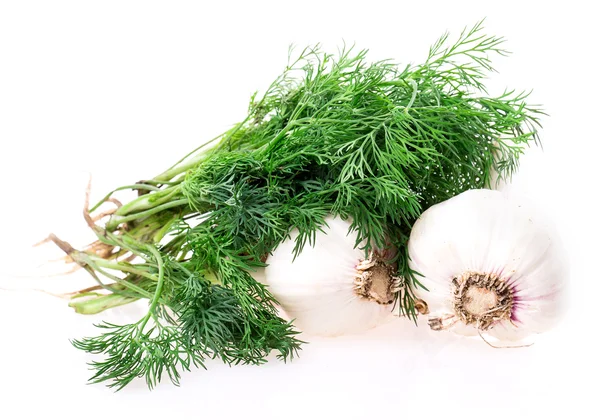 Garlic and dill — Stock Photo, Image