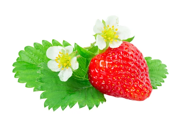 Aardbeien — Stockfoto