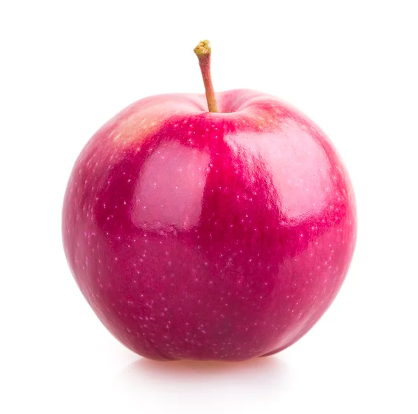 Elma yaprak — Stok fotoğraf