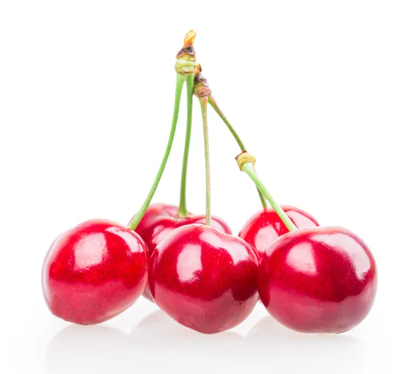 Cherry — Stock Photo, Image