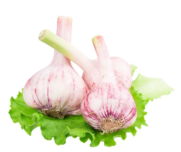 Garlic on a piece of lettuce — Stock Photo, Image