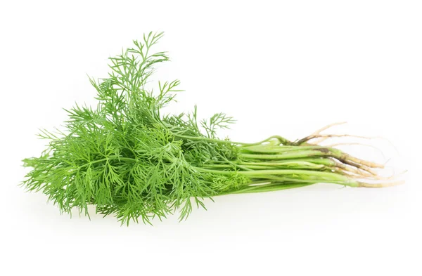 Dill. — Fotografia de Stock