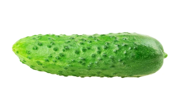 Green cucumbers — Stock Photo, Image