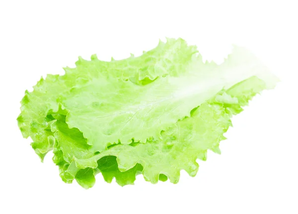 Zelené listy salátu — Stock fotografie