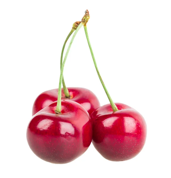 Cherry — Stock Photo, Image