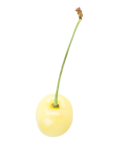 Cereza amarilla —  Fotos de Stock