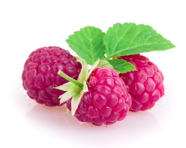 Himbeeren — Stockfoto