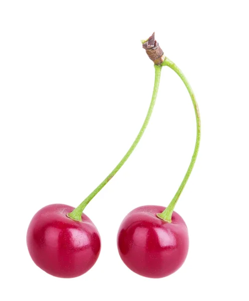 Cherry — Stock Photo, Image
