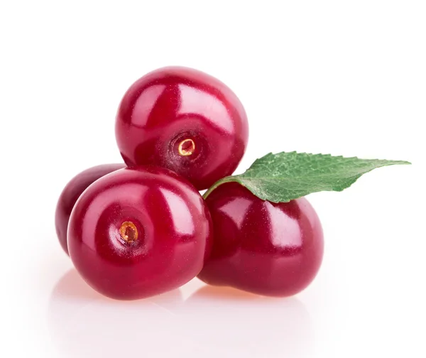 Cherry — Stock Photo, Image