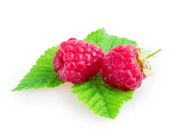 Raspberries — Stock Photo, Image