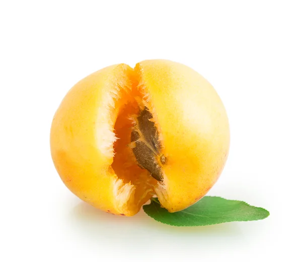 Apricot — Stock Photo, Image