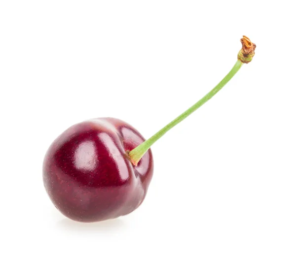 Cherry — Stock Photo, Image