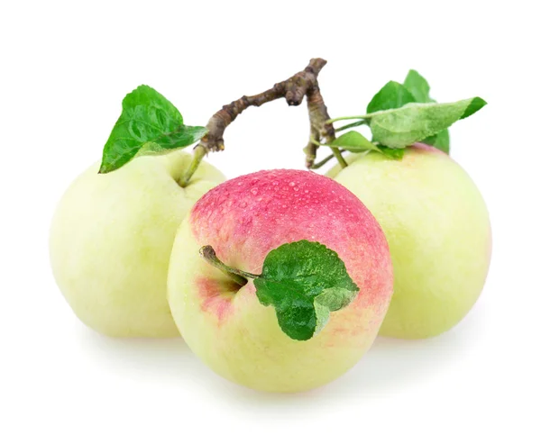 Tři jablka — Stock fotografie
