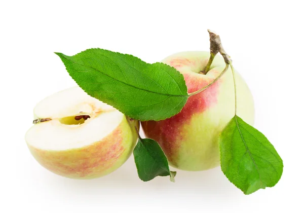 Jablko nakrájené — Stock fotografie