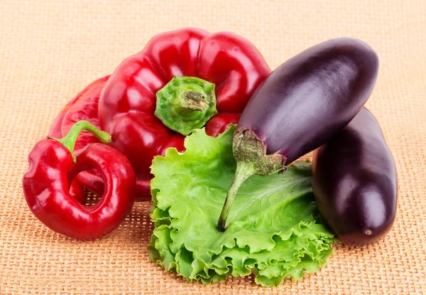 Pepper, eggplant, hot peppers — Stock Photo, Image