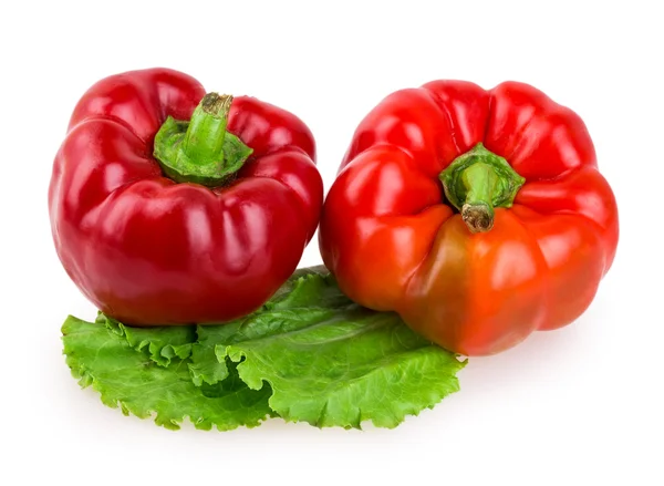 Pepper salad — Stock Photo, Image