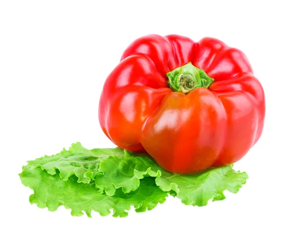 Biber Salatası — Stok fotoğraf
