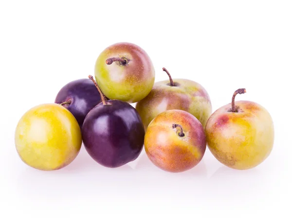 Plum — Stock Photo, Image