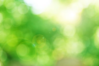 yeşil renkli bokeh