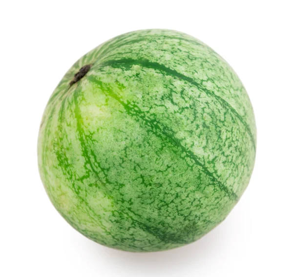 Nicht reife Wassermelone — Stockfoto