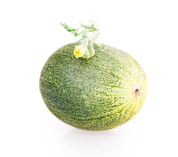 Wassermelone und Melone — Stockfoto