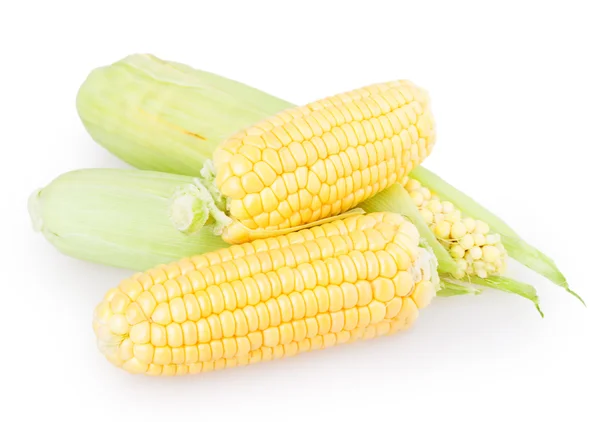Corn — Stock Photo, Image