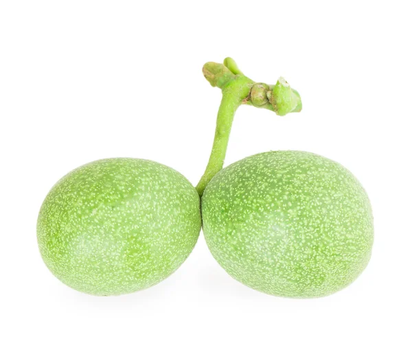 Green walnuts — Stock Photo, Image