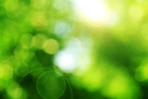 Зеленый фон боке — стоковое фото