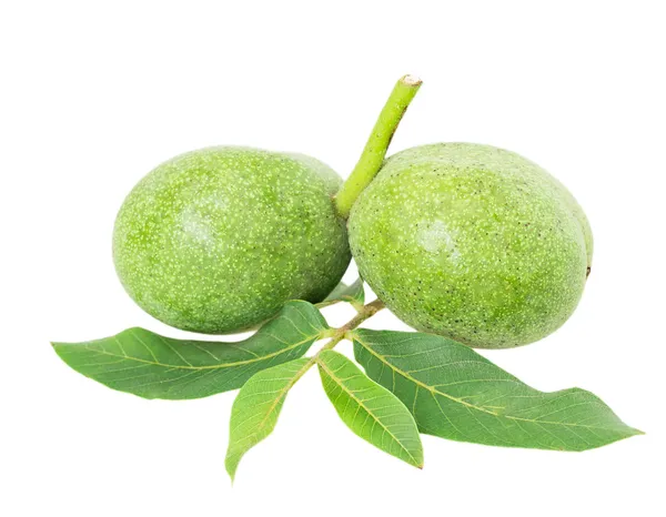 Green walnuts — Stock Photo, Image