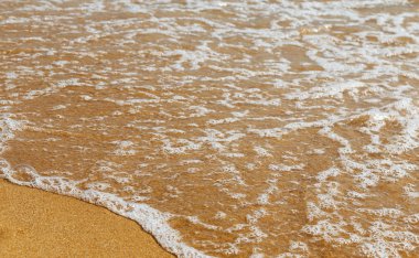 Sarı kum sahil üzerinde