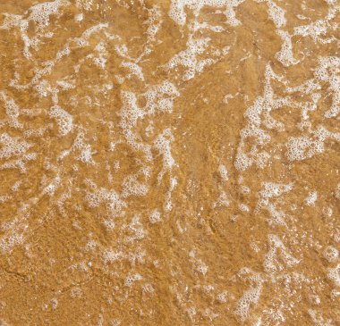 Sarı kum sahil üzerinde