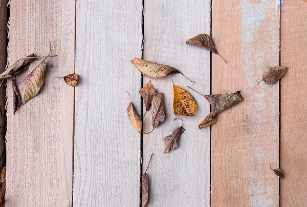 Struttura in legno con foglia — Foto Stock