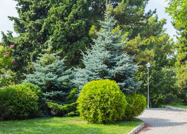 Pasarela en parque — Foto de Stock