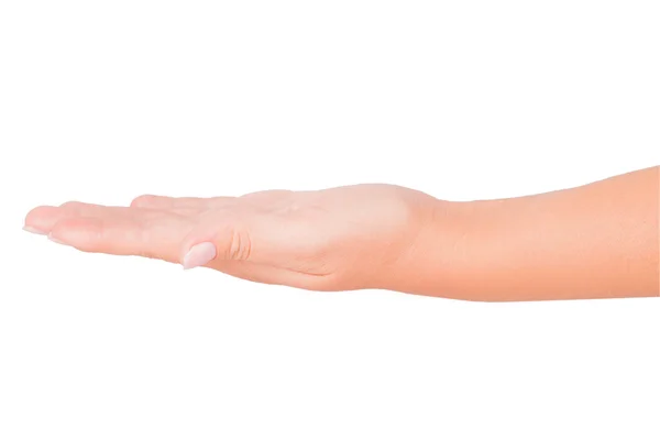 Hand — Stock Photo, Image