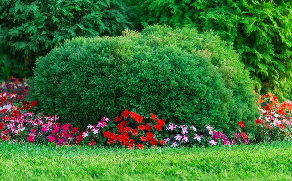 Lawn and green alley background Stock Photo